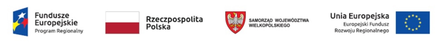 Logotypy UE EFRR Flaga Polski